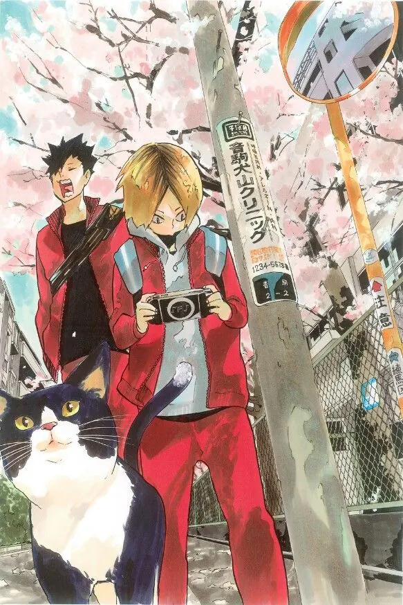 Haikyu!! Poster