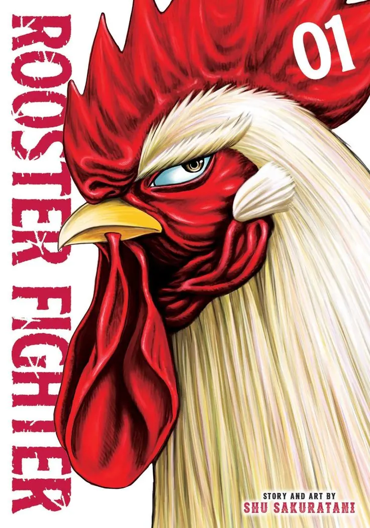 Rooster Fighter Poster